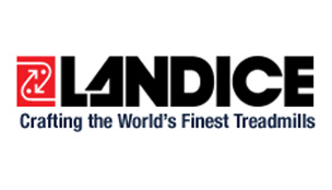 landice